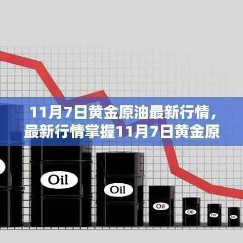 11月7日黄金原油行情分析，最新走势与操作指南