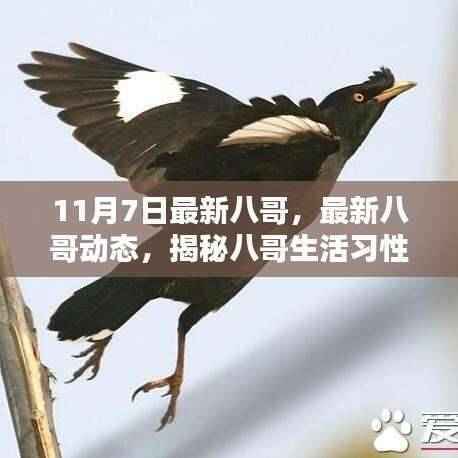 第1264页