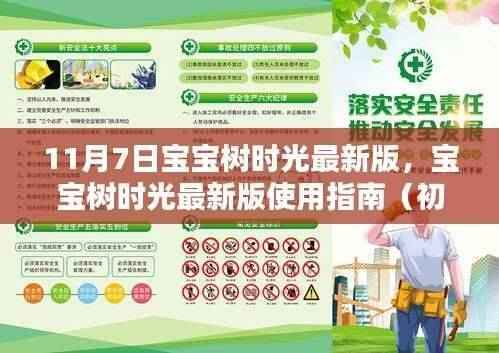 宝宝树时光最新版使用指南,初学者与进阶用户适用,11月7日更新详解