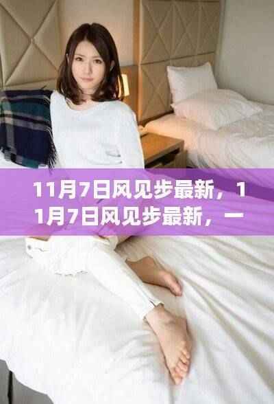 11月7日风见步最新，技术与社会的交汇点深度探讨