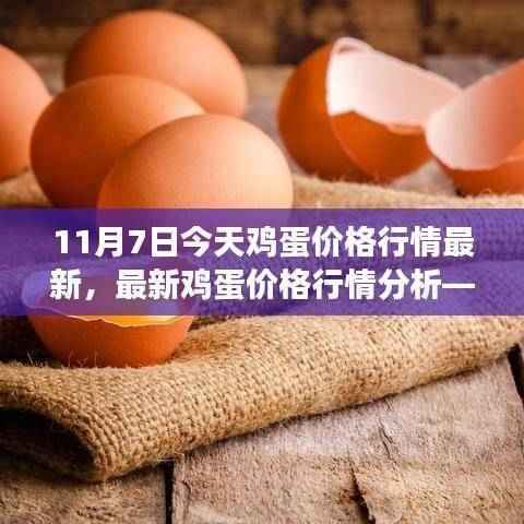 最新鸡蛋价格行情报告,11月7日的观察与分析