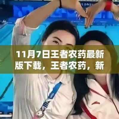 王者农药最新版下载,纽带与温馨的日常体验之旅(11月7日)