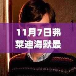 11月7日弗莱迪海默最新消息速递,轻松获取与解读相关资讯的步骤指南