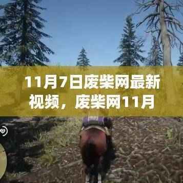 废柴网11月7日最新视频深度解析,背景、事件、影响与时代地位全解析