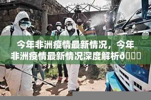 2023年非洲疫情最新情况深度解析