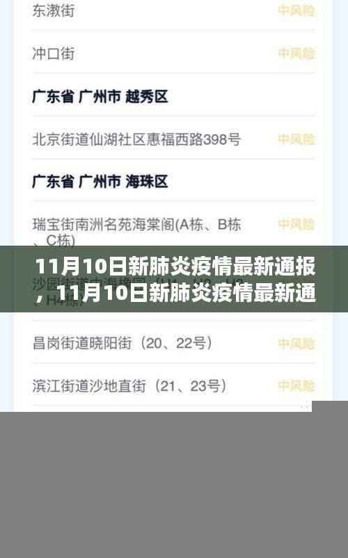 全球新肺炎疫情最新动态，全球态势与应对策略（11月10日更新）