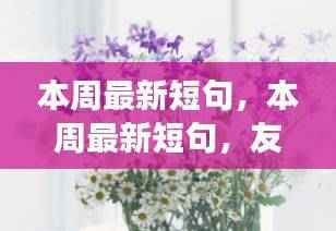 日常小事中的友情之花盛开,本周最新短句汇总