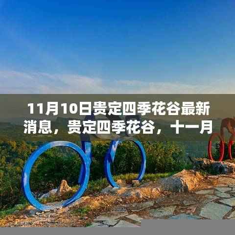 贵定四季花谷11月10日新篇章，绚烂之花绽放之际
