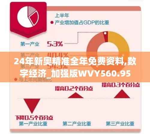 24年新奥精准全年免费资料,数字经济_加强版WVY560.95