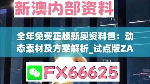 全年免费正版新奥资料包:动态素材及方案解析_试点版ZAB917.77