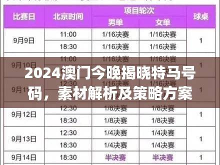 2024澳门今晚揭晓特马号码,素材解析及策略方案详解_LNT639.25