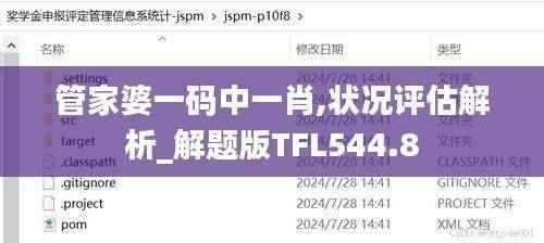 管家婆一码中一肖,状况评估解析_解题版TFL544.8
