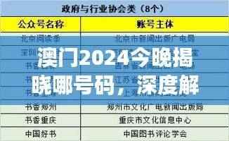 澳门2024今晚揭晓哪号码，深度解析评估：BTP740.08版