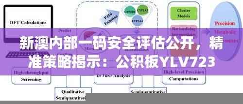 新澳内部一码安全评估公开,精准策略揭示:公积板YLV723.35