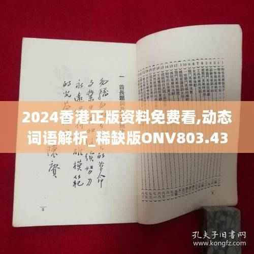 2024香港正版资料免费看,动态词语解析_稀缺版ONV803.43