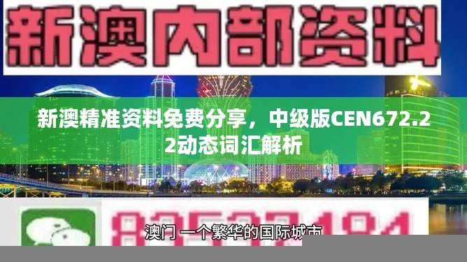 新澳精准资料免费分享,中级版CEN672.22动态词汇解析