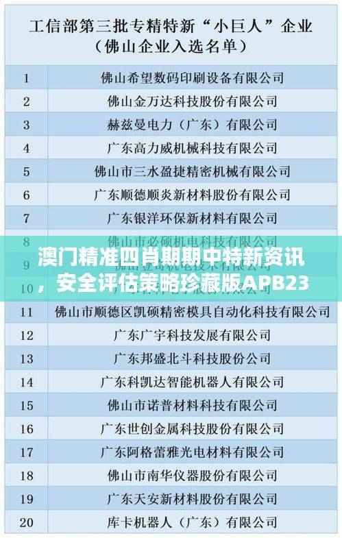 澳门精准四肖期期中特新资讯,安全评估策略珍藏版APB239.36