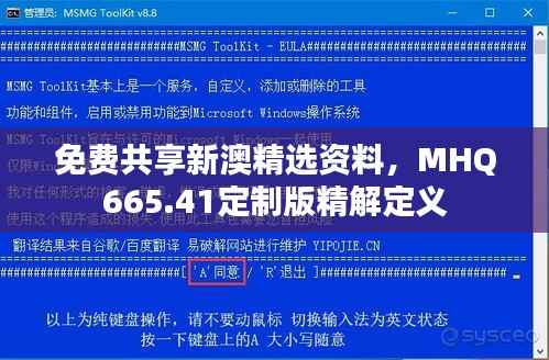免费共享新澳精选资料，MHQ665.41定制版精解定义