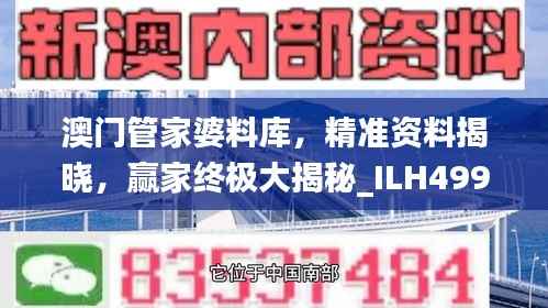 澳门管家婆料库，精准资料揭晓，赢家终极大揭秘_ILH499.19