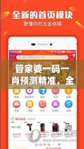 管家婆一码一肖预测精准,全新正版解析修订版RWT880.61