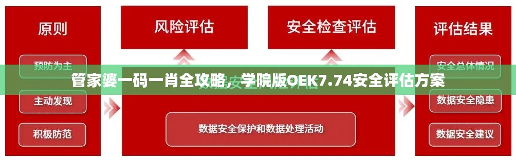 管家婆一码一肖全攻略,学院版OEK7.74安全评估方案