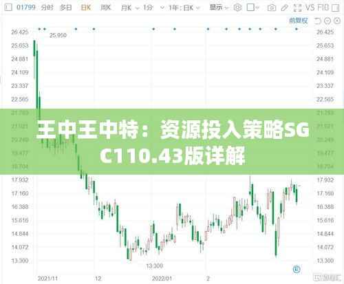 王中王中特:资源投入策略SGC110.43版详解