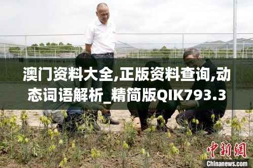 澳门资料大全,正版资料查询,动态词语解析_精简版QIK793.33