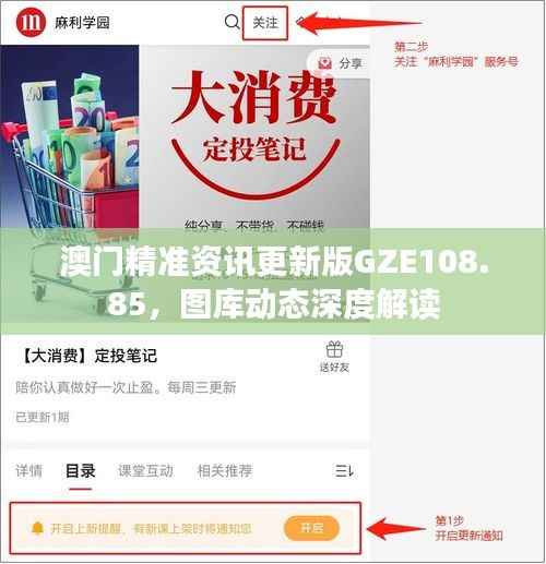 澳门精准资讯更新版GZE108.85,图库动态深度解读