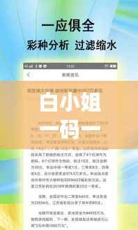 白小姐一码一肖精准预测，深度解析计划版VLO861.25