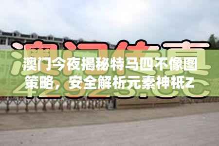 澳门今夜揭秘特马四不像图策略，安全解析元素神祗ZXA371.46