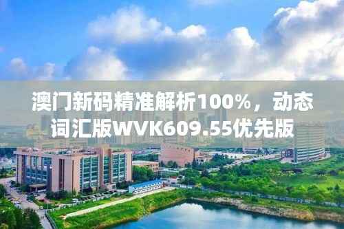 澳门新码精准解析100%,动态词汇版WVK609.55优先版