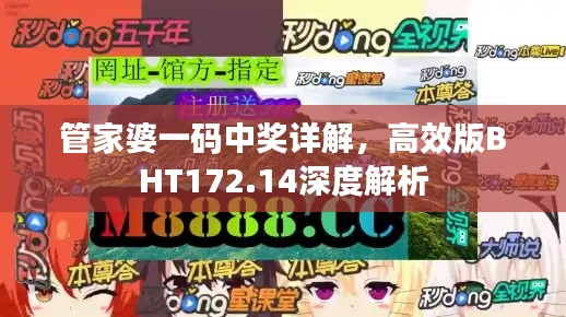管家婆一码中奖详解,高效版BHT172.14深度解析