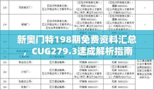 新奥门特198期免费资料汇总,CUG279.3速成解析指南