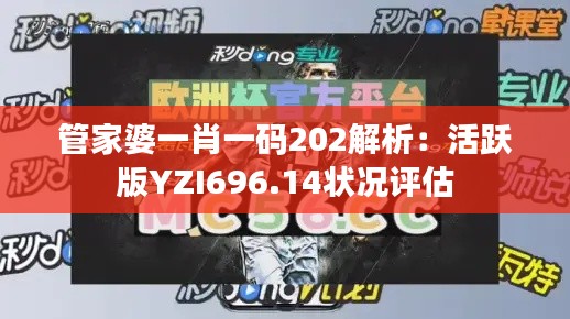 管家婆一肖一码202解析:活跃版YZI696.14状况评估