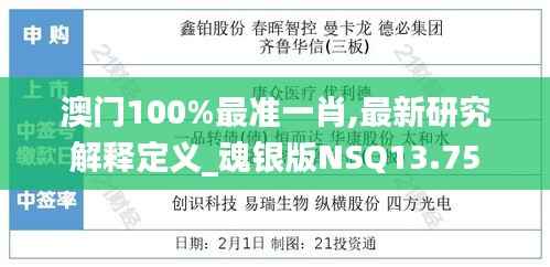 澳门100%最准一肖,最新研究解释定义_魂银版NSQ13.75