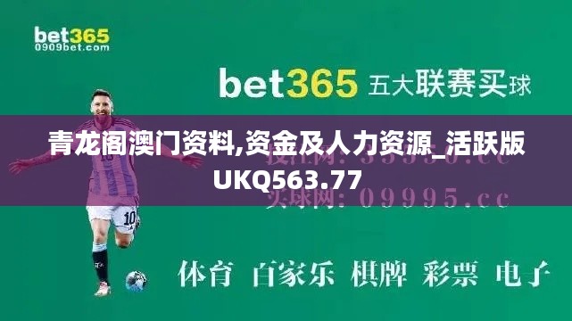 青龙阁澳门资料,资金及人力资源_活跃版UKQ563.77