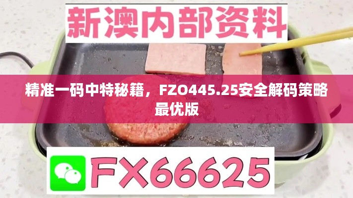 精准一码中特秘籍,FZO445.25安全解码策略最优版