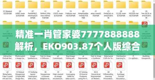 精准一肖管家婆7777888888解析,EKO903.87个人版综合解读