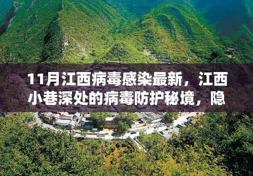 江西隐秘小巷的病毒防护秘境,最新感染状况与独特小店魅力探索