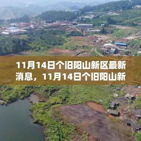 个旧阳山新区发展动态揭秘,最新消息与前景展望(11月14日)