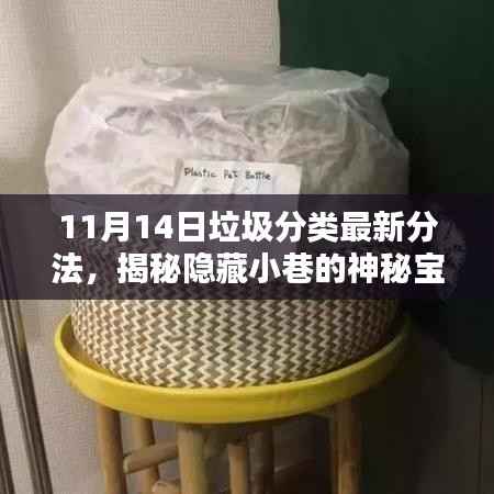 垃圾分类新风尚揭秘,独特小店的神秘宝藏与最新分类探索之旅(11月14日)