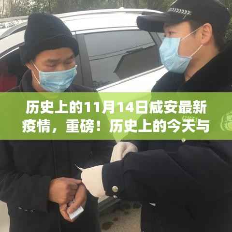 小红书揭秘,历史上的今天与咸安最新疫情进展回顾与追踪