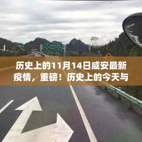 小红书揭秘,历史上的今天与咸安最新疫情进展回顾与追踪
