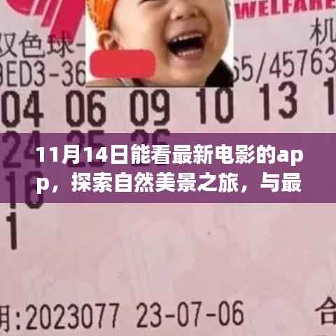 花开无言 第22页