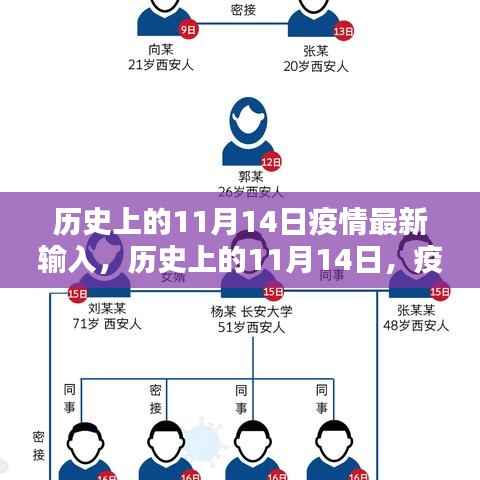 历史上的11月14日疫情最新输入深度审视与解析