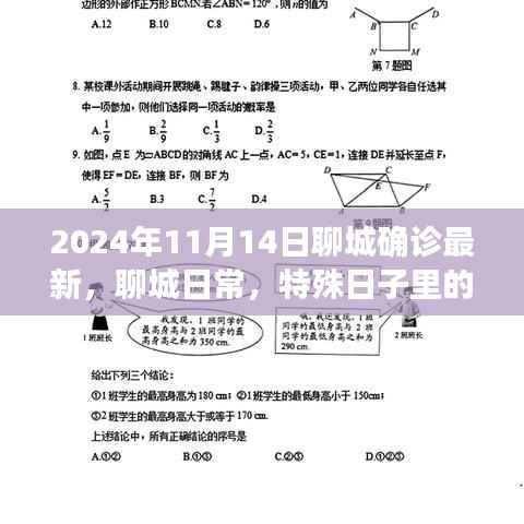 聊城特殊日子温情确诊之旅，最新进展与日常观察（2024年11月14日）