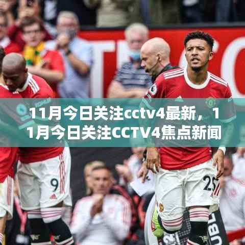 11月焦点新闻解析,CCTV4最新动态与热点关注