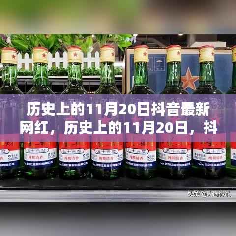 历史上的11月20日抖音红星崛起之路,最新网红的诞生