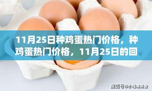 11月25日种鸡蛋市场行情回顾与洞察,热门价格分析
