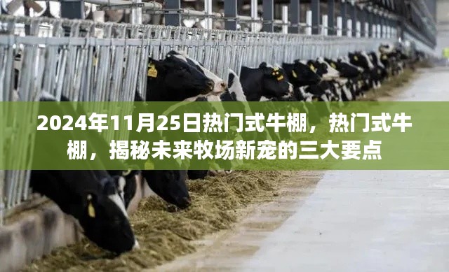 花开无言 第17页